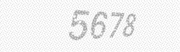 Visual security code — type the characters shown in the image